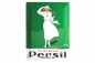 Preview: Blechschild "Persil Weiße Dame" - Grün - 40 x 30cm